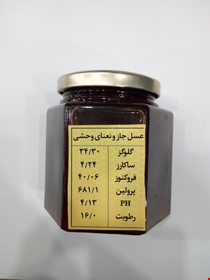 عسل جاز و نعنای وحشی