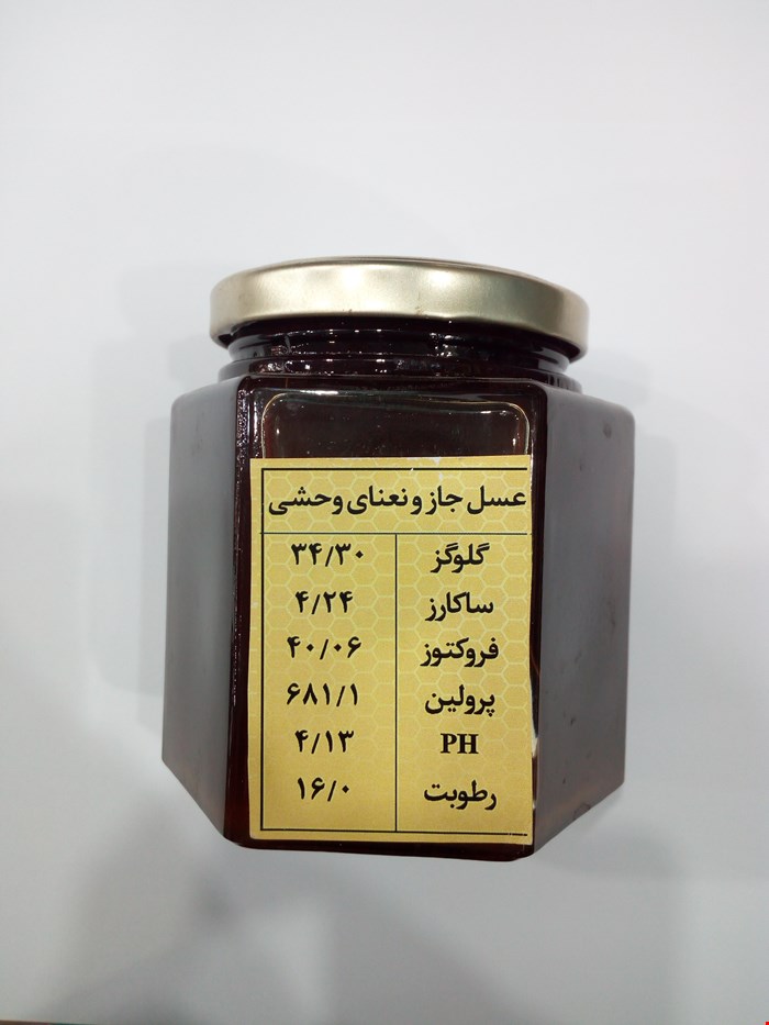 عسل جاز و نعنای وحشی